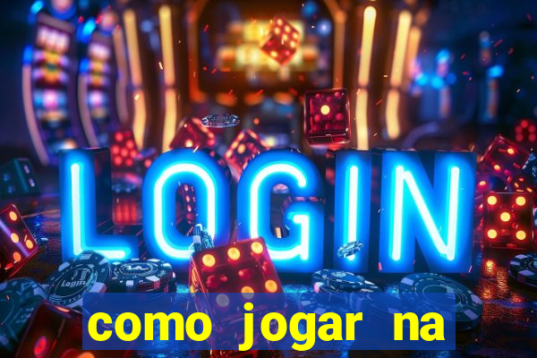 como jogar na lotinha do jogo do bicho